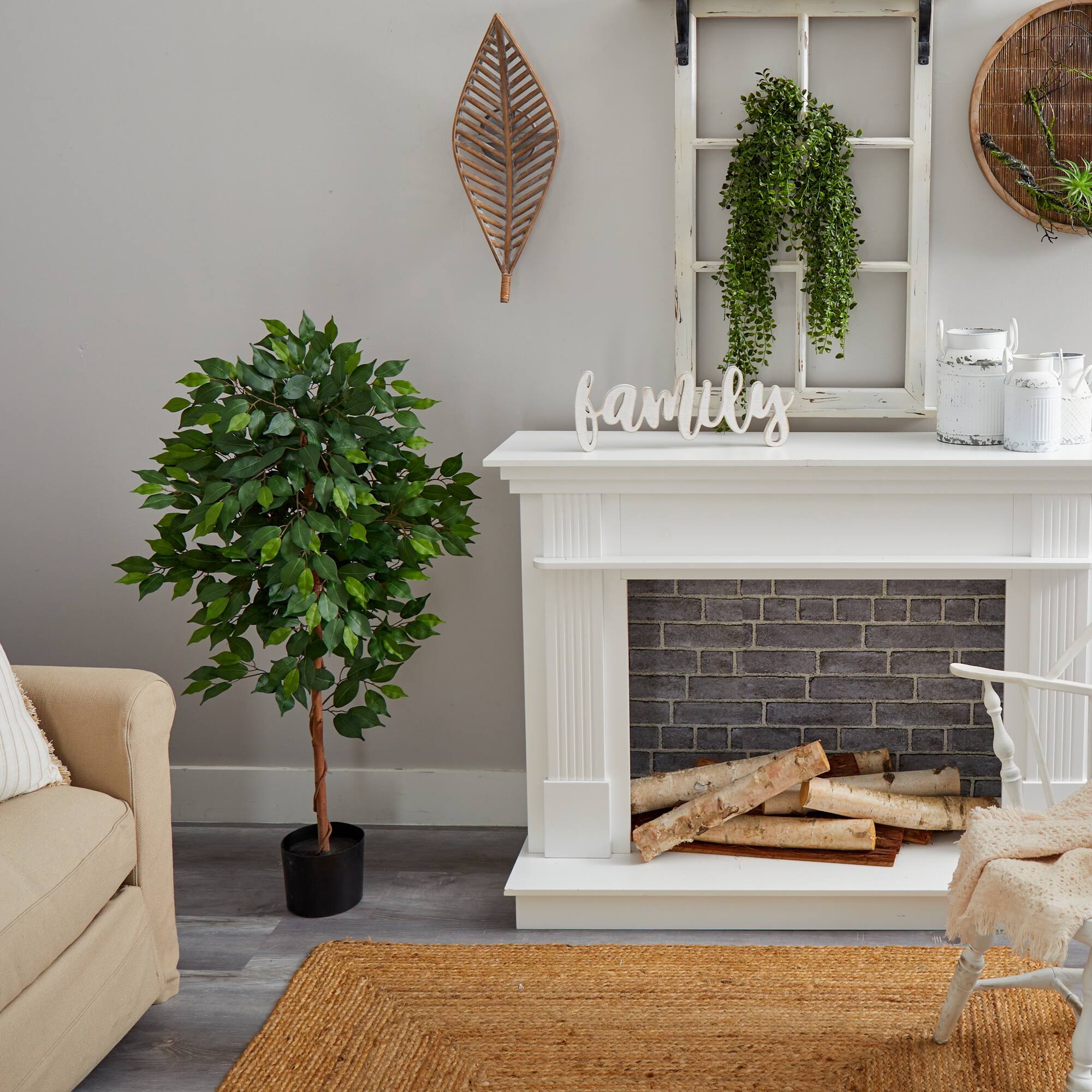 4ft. Potted Ficus Tree